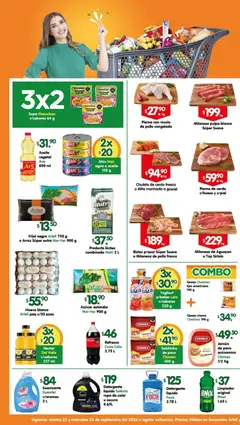 Vista previa de Arteli folleto, nuevo folleto de la tienda, válido en México a partir del 22/09/2026
