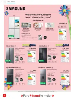 Vista previa de folleto Hiraoka catálogo de la Hiraoka válido desde 25.04.2026 | Página: 10 | Productos: Cámara, Congelador