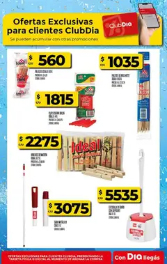 Vista previa Supermercado DIA Ofertas válido desde el 17/06/2026 | Página: 31