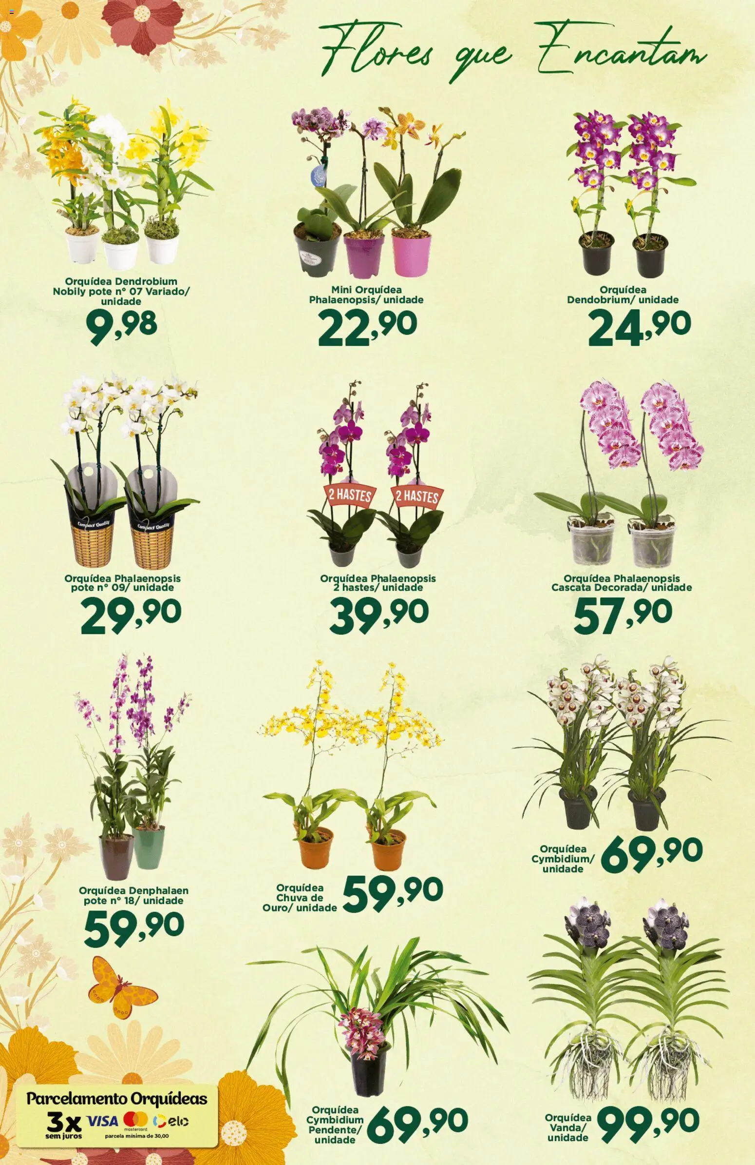 Confiança Folheto - válido de 25/09/2026 | Página: 4 | Produtos: Denphalaen, Orquídea, Flores