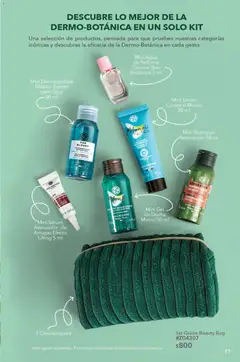 Vista previa de Yves Rocher campaña 13 2026, nuevo folleto de la tienda, válido en México a partir del 15/09/2026 | Página: 13 | Productos: Shampoo, Toner, Body, Perfume