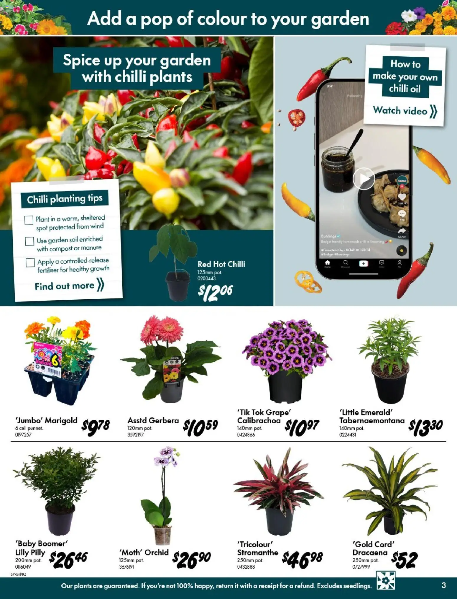 Bunnings Warehouse catalogue - valid from 09/09/2026 | Page: 3 | Products: Oil, Compost, Chilli, Watch