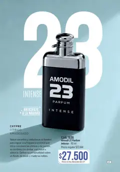 Vista previa Catálogo Amodil Campaña 17 válido desde el 01/10/2026 | Página: 61