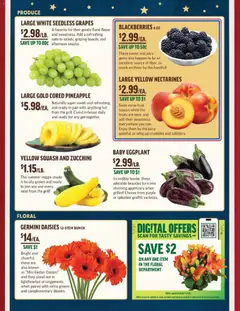 Preview of Central Market weekly ads valid from 06/24/2026 | Page: 2