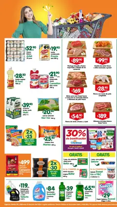 Vista previa de Arteli folleto, nuevo folleto de la tienda, válido en México a partir del 09.06.2026