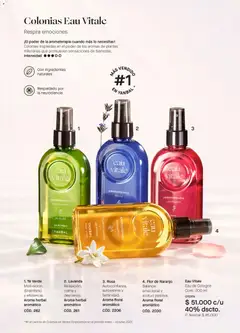 Yanbal catálogo -  Vista previa de la revista de la tienda Yanbal valido desde el 25.04.2026 | Página: 25 | Productos: Té