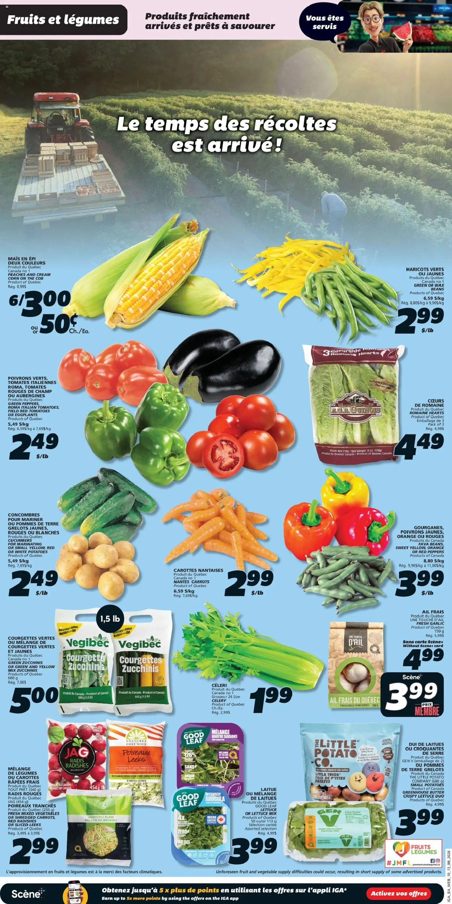 IGA flyer valid from Aug 13, 2026 | Page: 5 | Products: Radishes, Vegetables, Corn, Butter