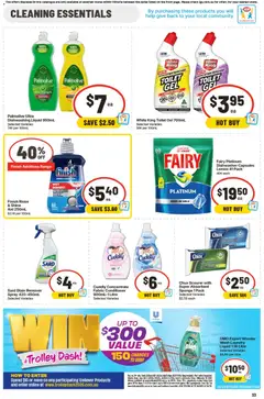 Preview of IGA catalogue - valid from 19/08/2026 | Page: 31