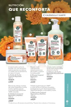Vista previa de Yves Rocher campaña 11 2026, nuevo folleto de la tienda, válido en México a partir del 04/08/2026 | Página: 33
