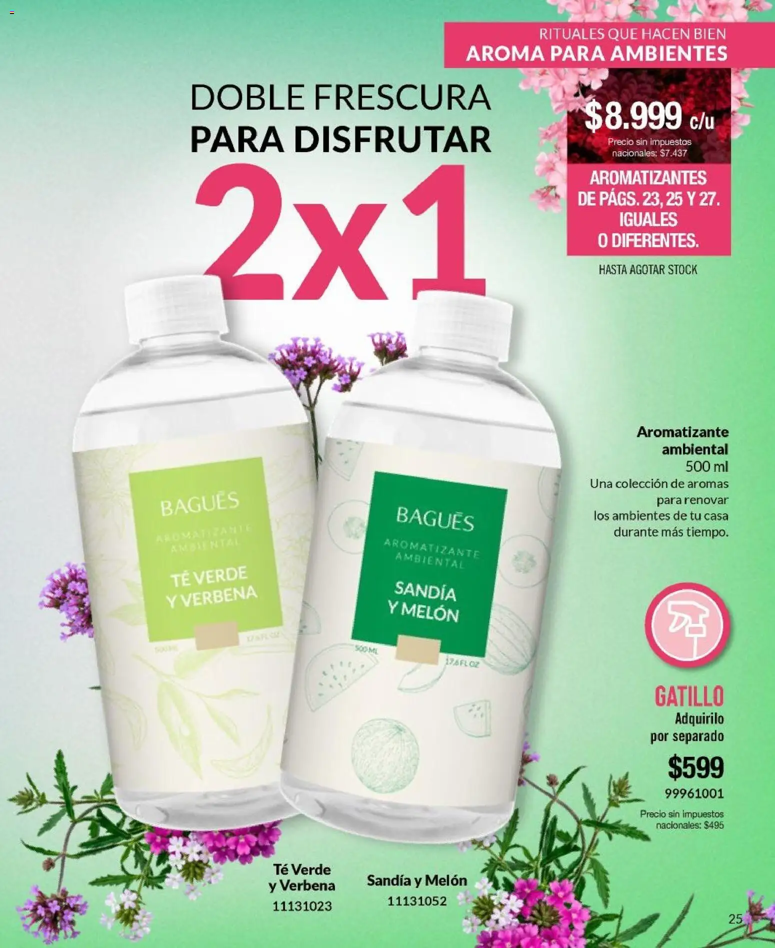 Bagués catálogo │ válido desde el 21/09/2026 | Página: 25 | Productos: Sandía, Melón, Té verde, Té