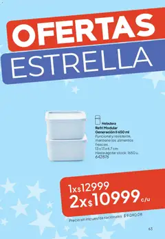 Vista previa Tupperware Folleto válido desde el 02.06.2026 | Página: 64 | Productos: Modular, Heladera