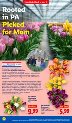 Preview of Lidl weekly ads valid from 06.05.2026 | Page: 4