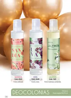 Vista previa Amodil - Campaña 10 válido desde el 01.06.2026 | Página: 76 | Productos: Sandía