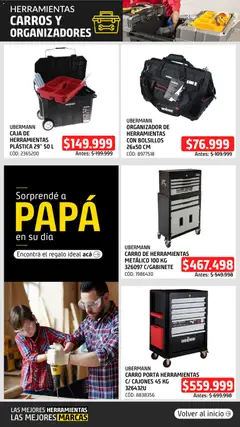 Vista previa Sodimac catálogo válido desde el 16.06.2026 | Página: 9 | Productos: Organizador, Caja de herramientas, Caja, Papa