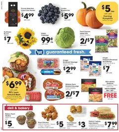 Preview of Pick ‘n Save weekly ads valid from 09/09/2026 | Page: 12
