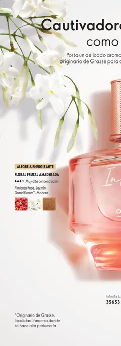 Vista previa de Oriflame campaña 6 2026, nuevo folleto de la tienda, válido en México a partir del 18.04.2026 | Página: 56 | Productos: Pincel, Bolso, Bálsamo, Espejo