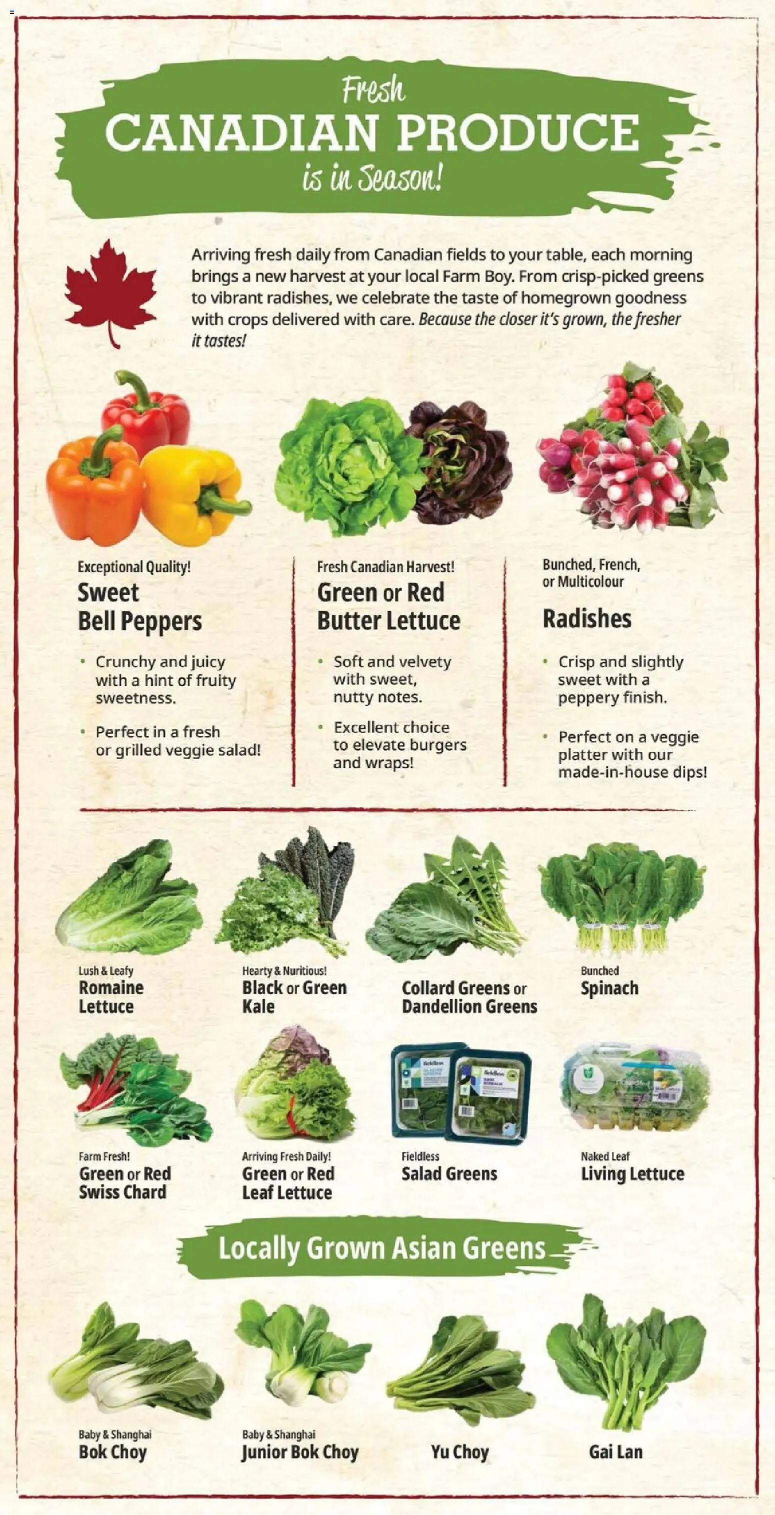 Farm Boy flyer valid from 18.06.2026 | Page: 9 | Products: Salad, Butter