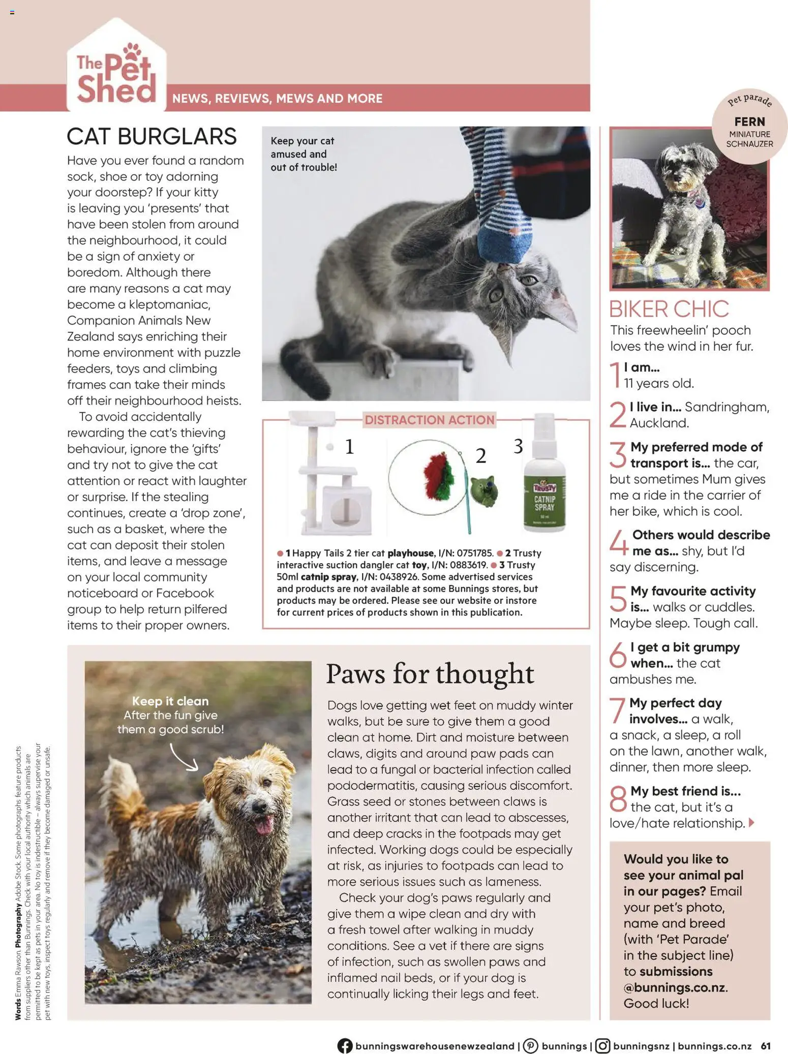 Bunnings Warehouse catalogue from 01.06.2026 | Page: 61