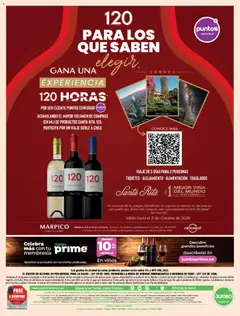 Jumbo catálogo VENDIMIA -  Vista previa de la revista de la tienda Jumbo valido desde el 10/09/2026 | Página: 16
