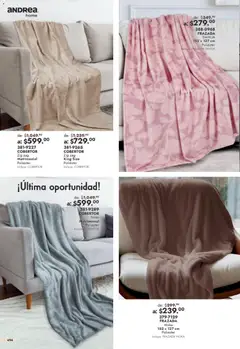 Vista previa de Andrea catálogo Outlet, nuevo folleto de la tienda, válido en México a partir del 26/07/2026 | Página: 494 | Productos: Cobertor