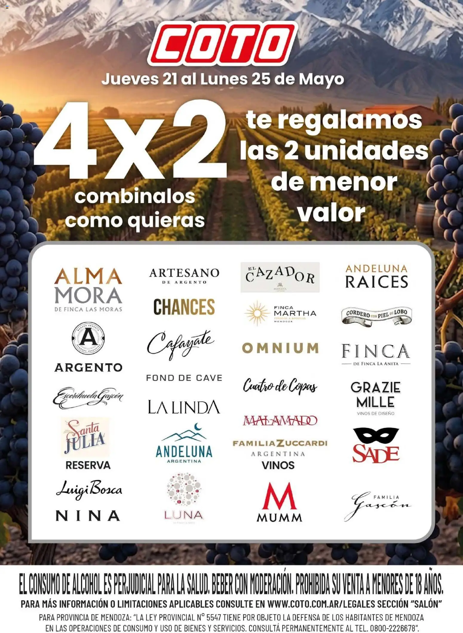 Coto - Marcas Bodega │ válido desde el 21.05.2026 | Página: 1 | Productos: Té