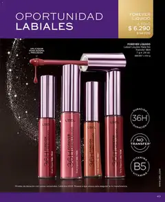 Catálogo L'Bel Campaña 9 válido desde el 17.05.2026 | Página: 43 | Productos: Mate, Labial