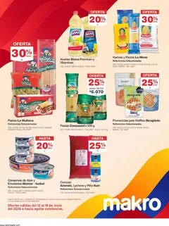 Makro catálogo -  Vista previa de la revista de la tienda Makro valido desde el 12.06.2026 | Página: 24