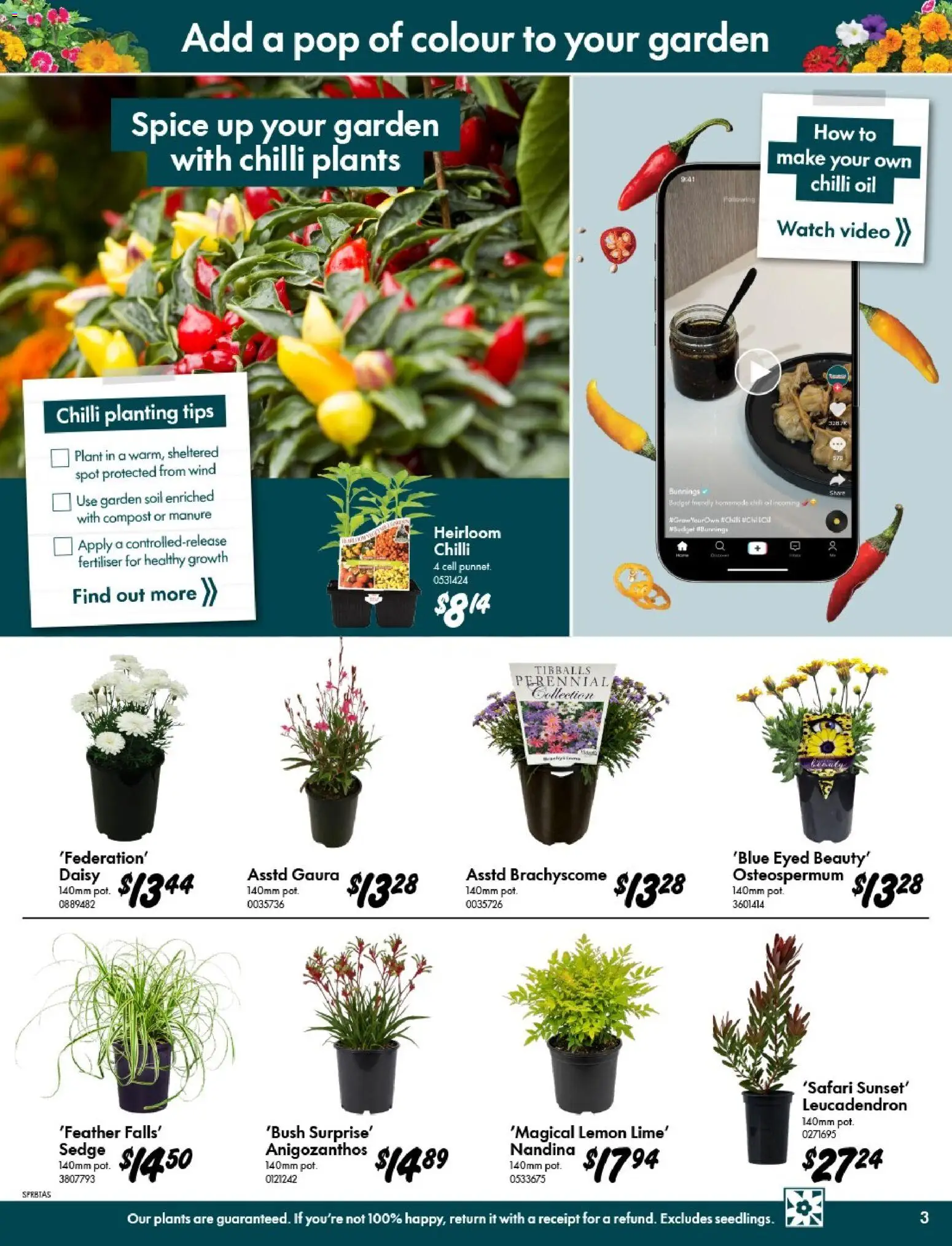 Bunnings Warehouse catalogue - valid from 09/09/2026 | Page: 3 | Products: Plant, Compost, Soil, Chilli