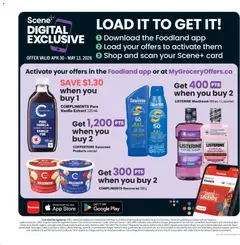 Preview of Foodland weekly flyer / circulaire from shop Foodland valid from 30.04.2026 | Page: 13 | Products: Sunscreen, Mouthwash