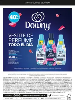 Vista previa Pigmento - Golazo de ofertas válido desde el 02.06.2026 | Página: 24 | Productos: Botella, Perfume, Ropa, Suavizante