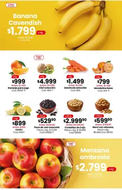 Vista previa Coto ofertas válido desde el 06/07/2026 | Página: 3