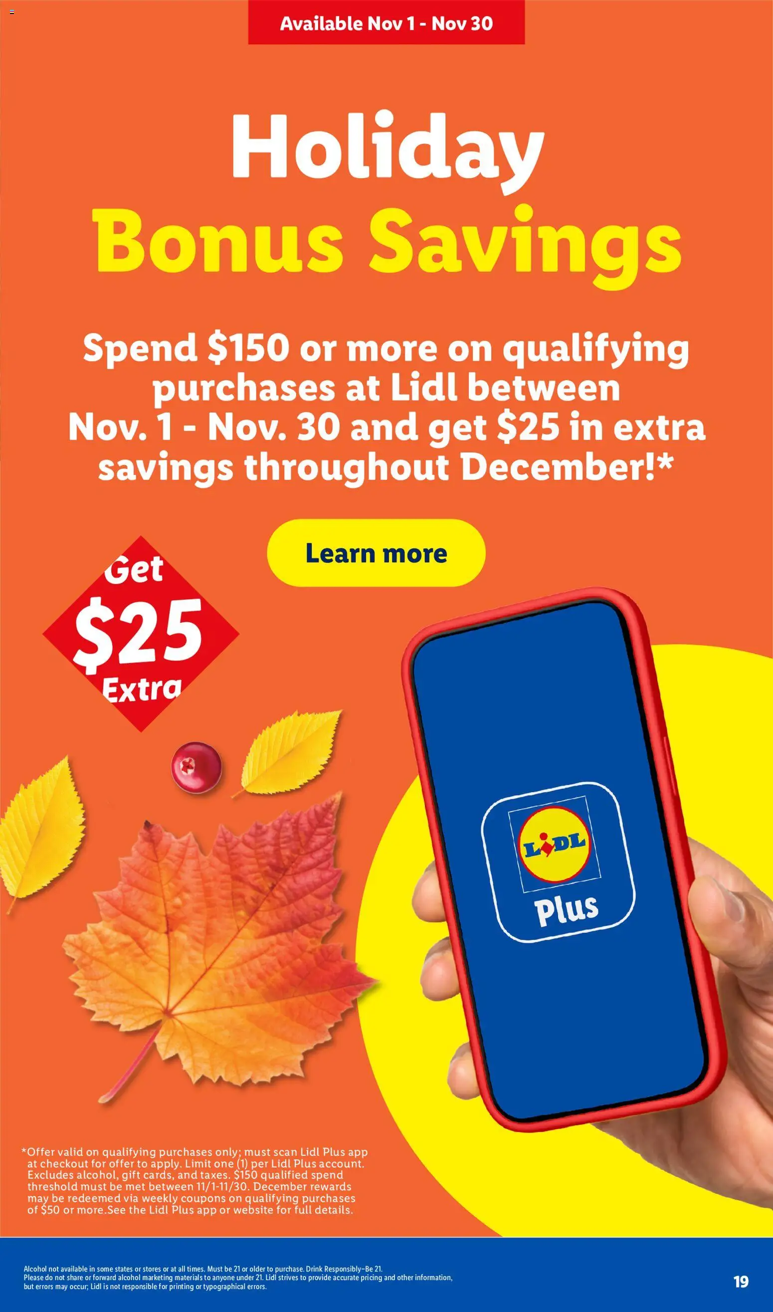 Lidl Weekly Ad - valid from 10/28/2026 | Page: 19