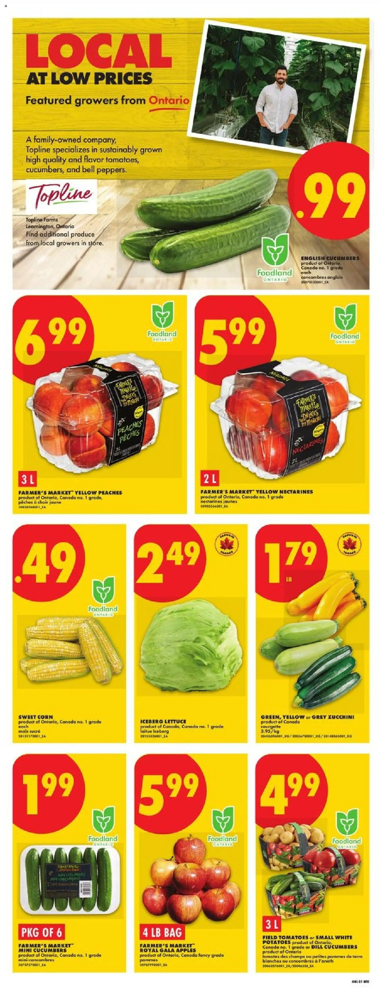 No Frills flyer valid from Aug 6, 2026 | Page: 3 | Products: Bag, Corn, Nectarines, Tomatoes