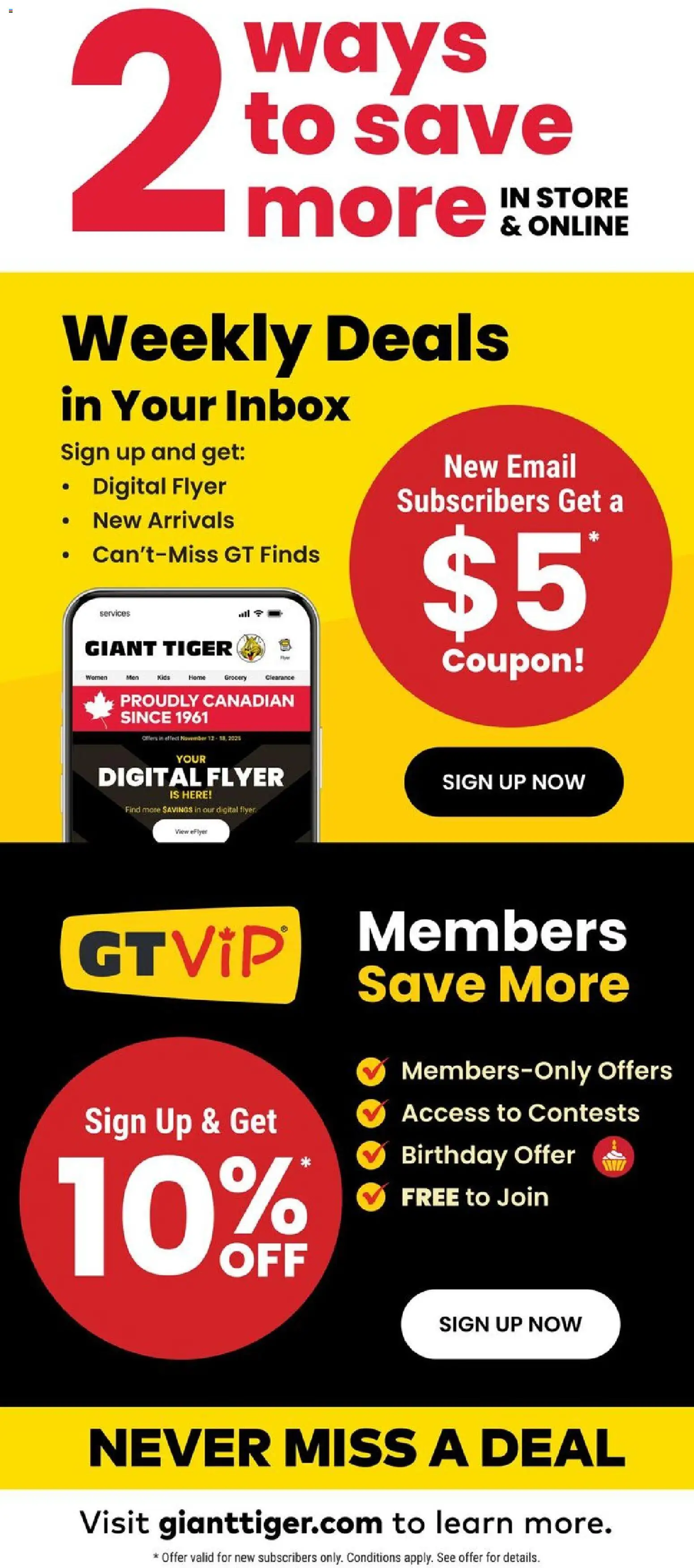 Giant Tiger flyer valid from 20.05.2026 | Page: 13