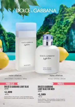 Vista previa de Ilusión catálogo Marcas Amigas, nuevo folleto de la tienda, válido en México a partir del 01.05.2026 | Página: 12 | Productos: Pimienta, Limón, Toronja, Eau de toilette