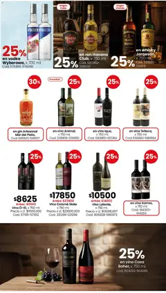 Vista previa Coto - Almacén y bebidas válido desde el 11.05.2026 | Página: 9