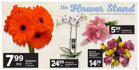 Preview of Quality Foods weekly flyer / circulaire from shop Quality Foods valid from Aug 20, 2026 | Page: 3 | Products: Flower stand, Orchid, Gerbera