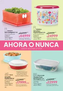 Vista previa Tupperware Folleto válido desde el 01/07/2026 | Página: 41