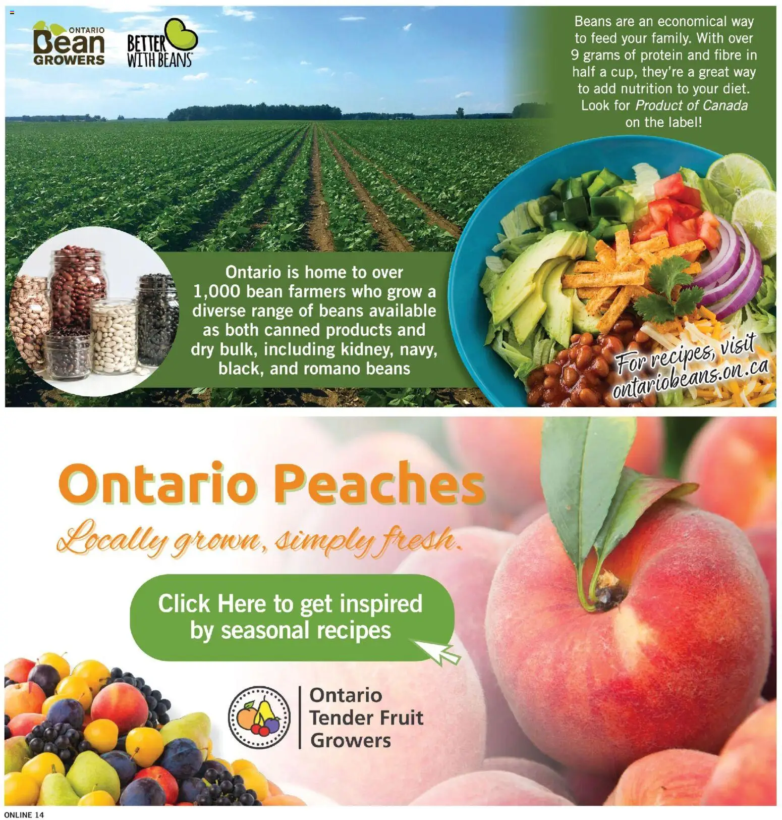 Fortinos flyer valid from Jul 30, 2026 | Page: 15