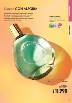Oriflame Catálogo válido desde el 09.05.2026 | Página: 77