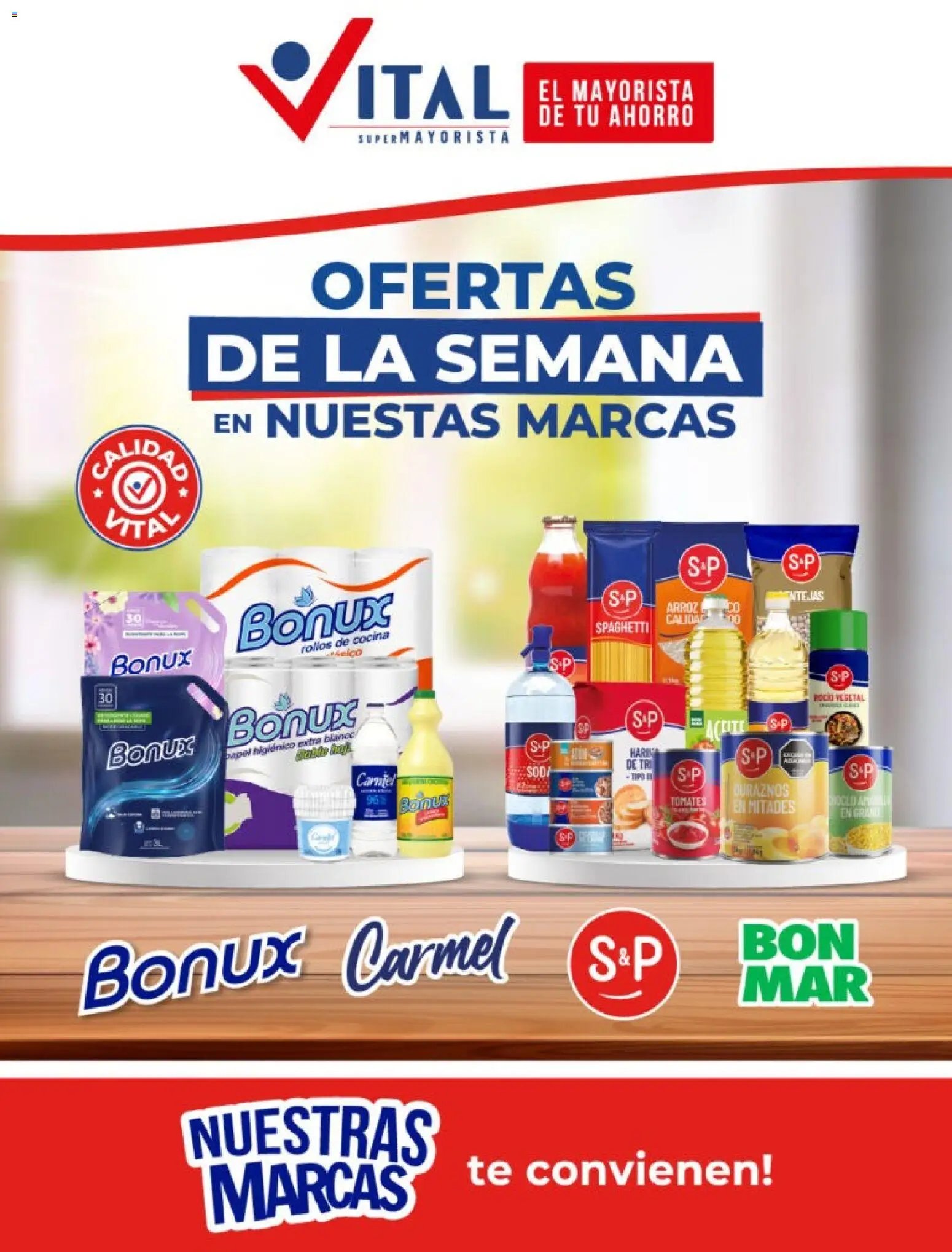 Vital - Especial nuestras marcas │ válido desde el 19/10/2026 | Página: 1