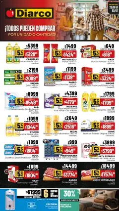 Vista previa Diarco ofertas válido desde el 29/06/2026