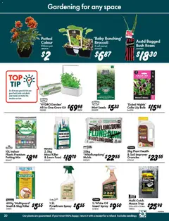 Preview of Bunnings Catalogue - valid from 20.05.2026 | Page: 20