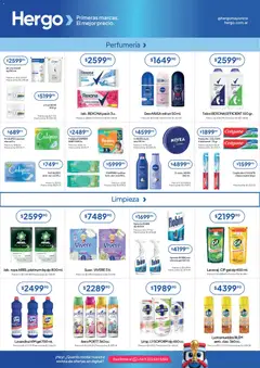 Vista previa Hergo catálogo válido desde el 17.06.2026 | Página: 5 | Productos: Lustramuebles, Lavandina, Cepillo, Quitamanchas