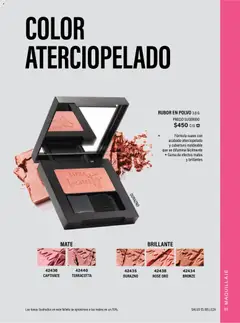 Vista previa de JAFRA catálogo Organizador de Ventas, nuevo folleto de la tienda, válido en México a partir del 01/07/2026 | Página: 99 | Productos: Polvo compacto, Té, Maquillaje, Polvo