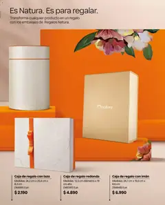 Natura Ofertas  válido desde el 01.05.2026 | Página: 40 | Productos: Imán, Caja