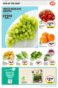 Preview of IGA catalogue - valid from 16/09/2026 | Page: 11