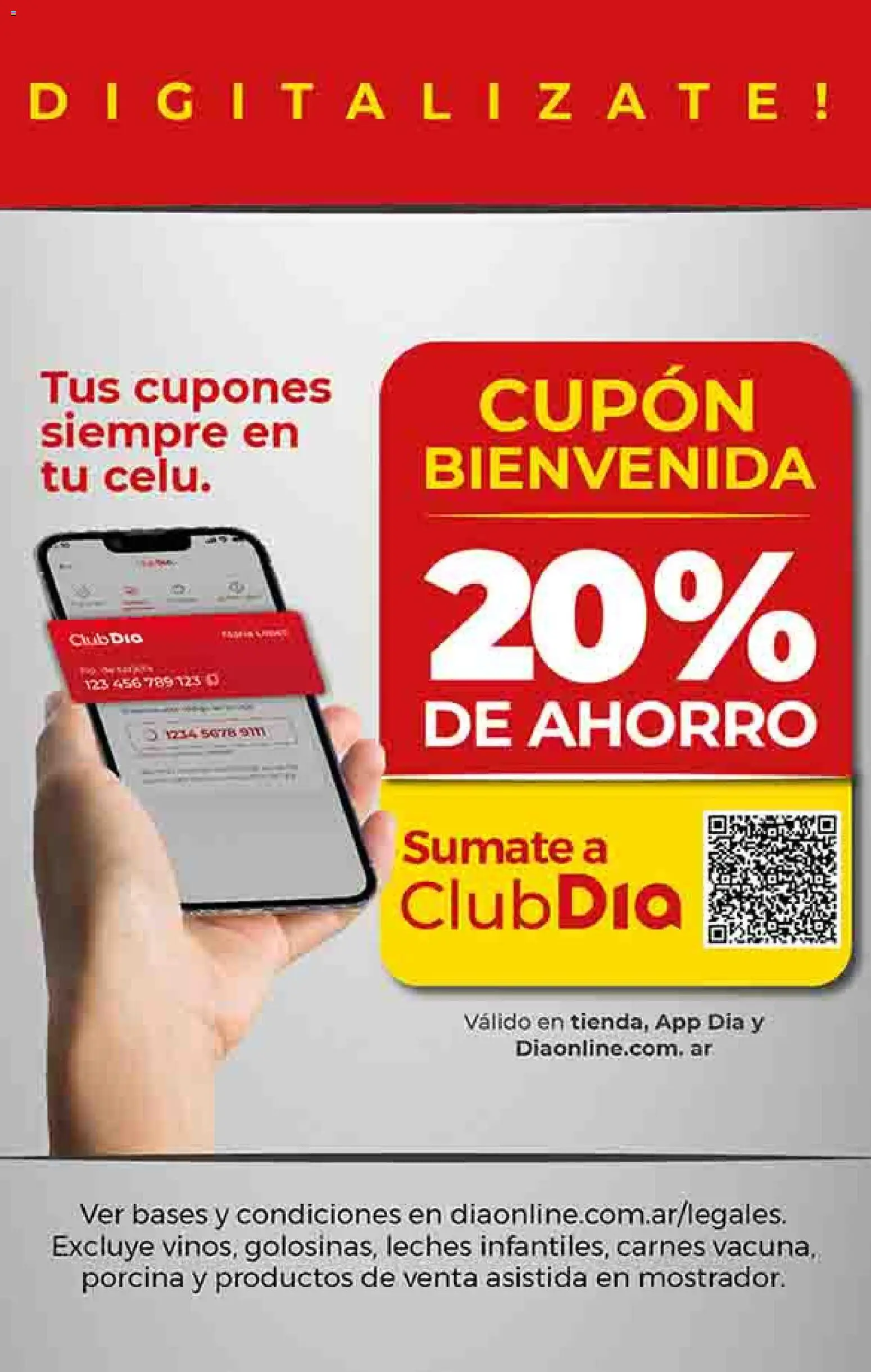 Dia - Ofertas │ válido desde el 27.05.2026 | Página: 51