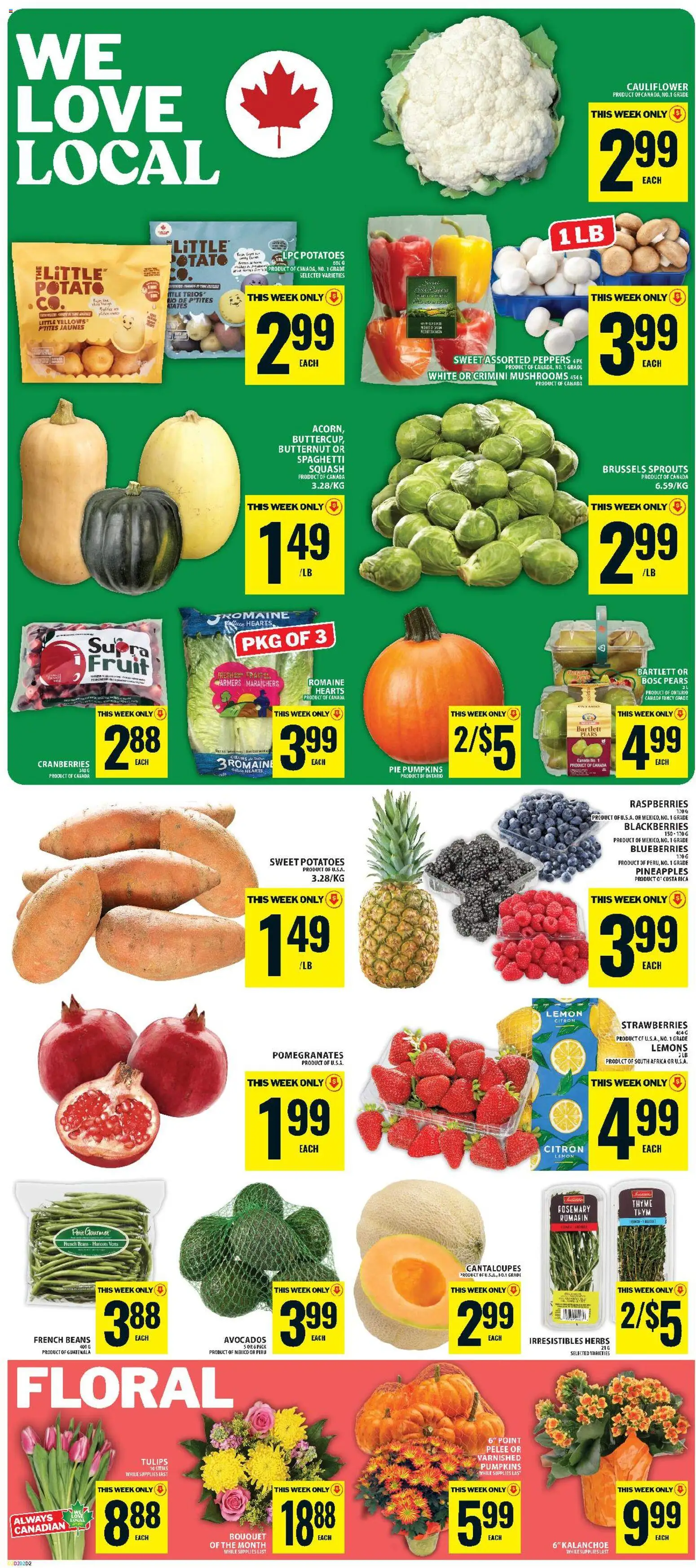 Food Basics flyer valid from Oct 1, 2026 | Page: 3