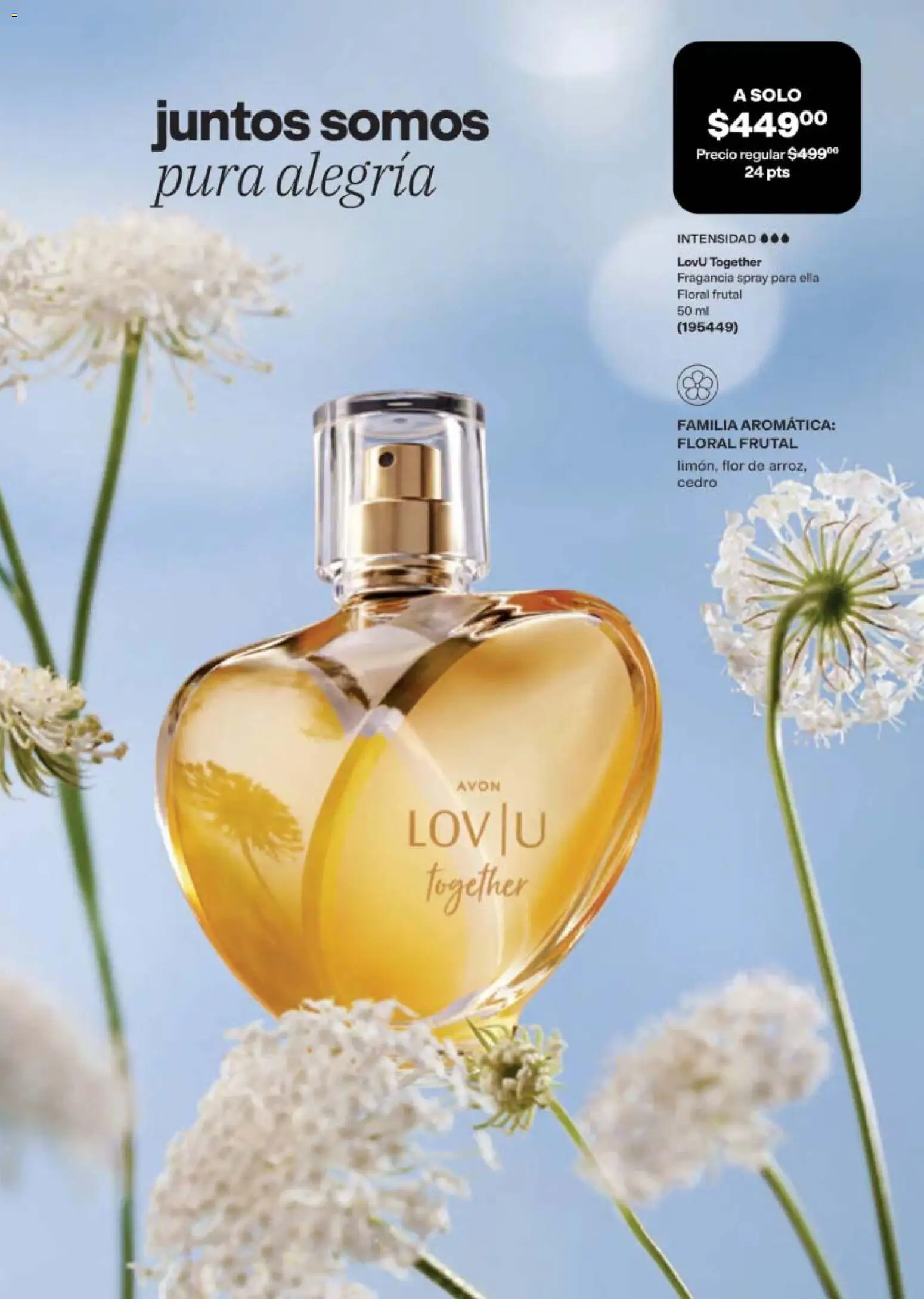 Nuevas ofertas de AVON válidas en toda la República Mexicana desde el 05/10/2026. ¡Encuentra las mejores ofertas en AVON campaña 16 2026! | Página: 96